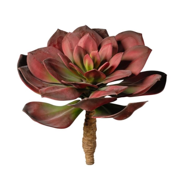 RAMO PIANTA GRASSA CM25 BURGUNDY